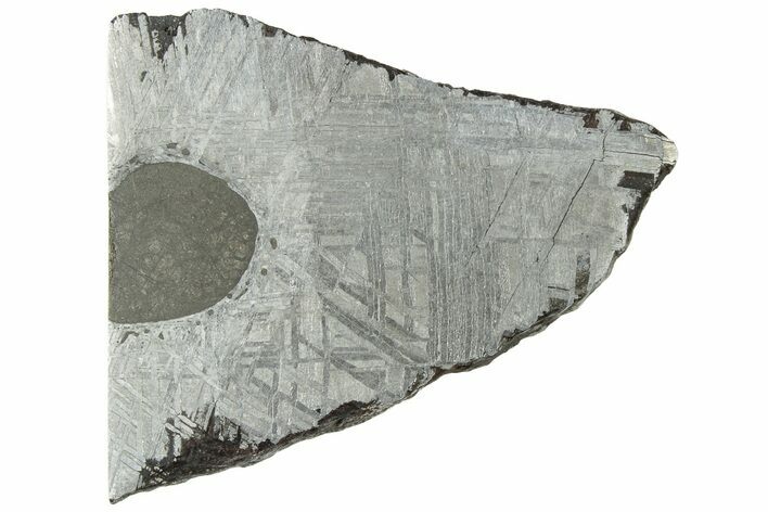 Etched Muonionalusta Meteorite Slice ( g) - Sweden #312843